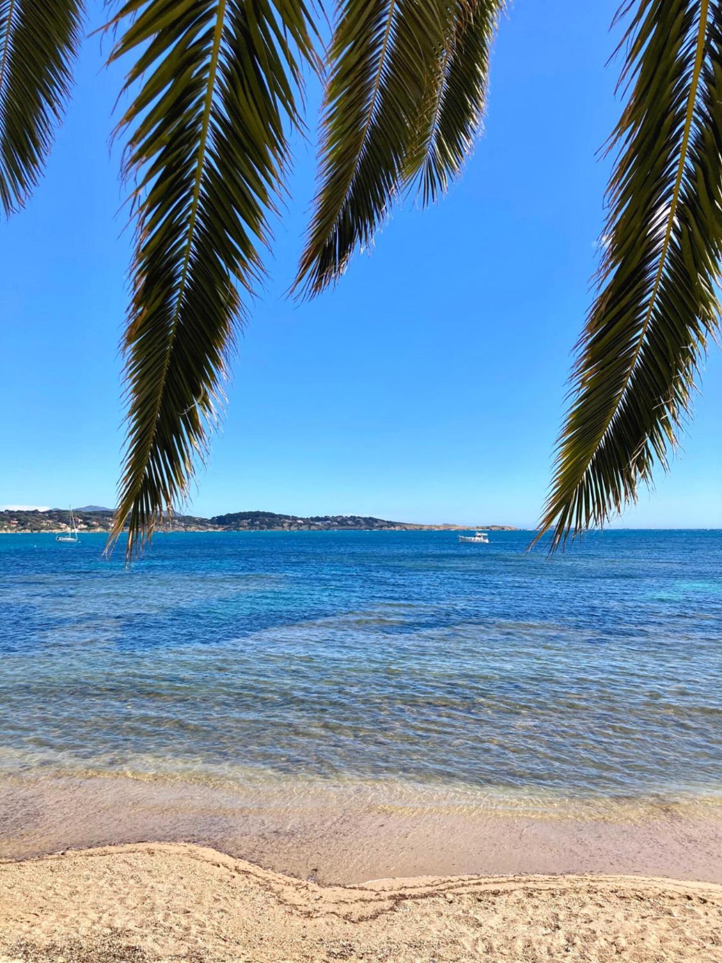 Appartement Coup De Coeur Centre Village Et Plage Climatise 3 Etoiles Terra Cigala Bandol Exterior foto